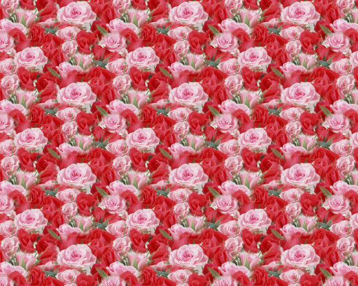 426062 (a): :1280x1024